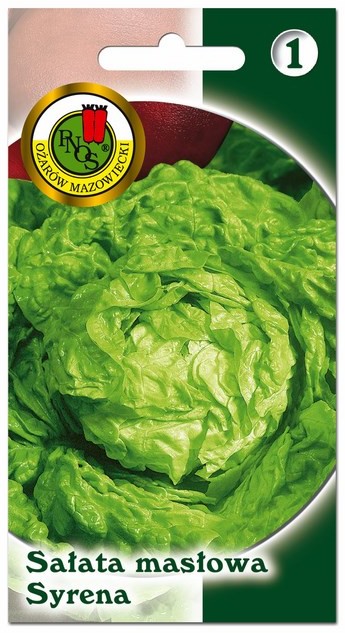 Nasiona sałata masłowa Syrena