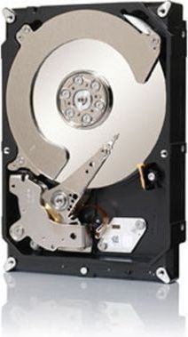 Seagate Constellation CS ST3000NC000