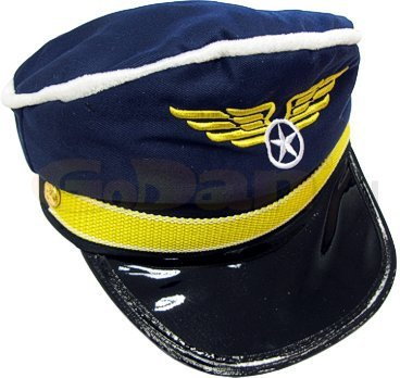 Pilot