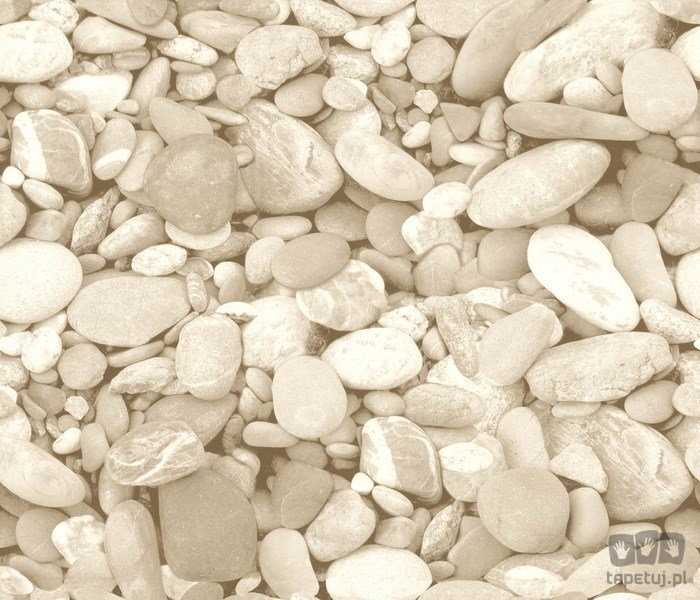 Ugepa Roll in Stones J99607 Tapeta ścienna