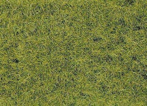 Heki Posypka statyczna letnia 10mm / 50g 3376