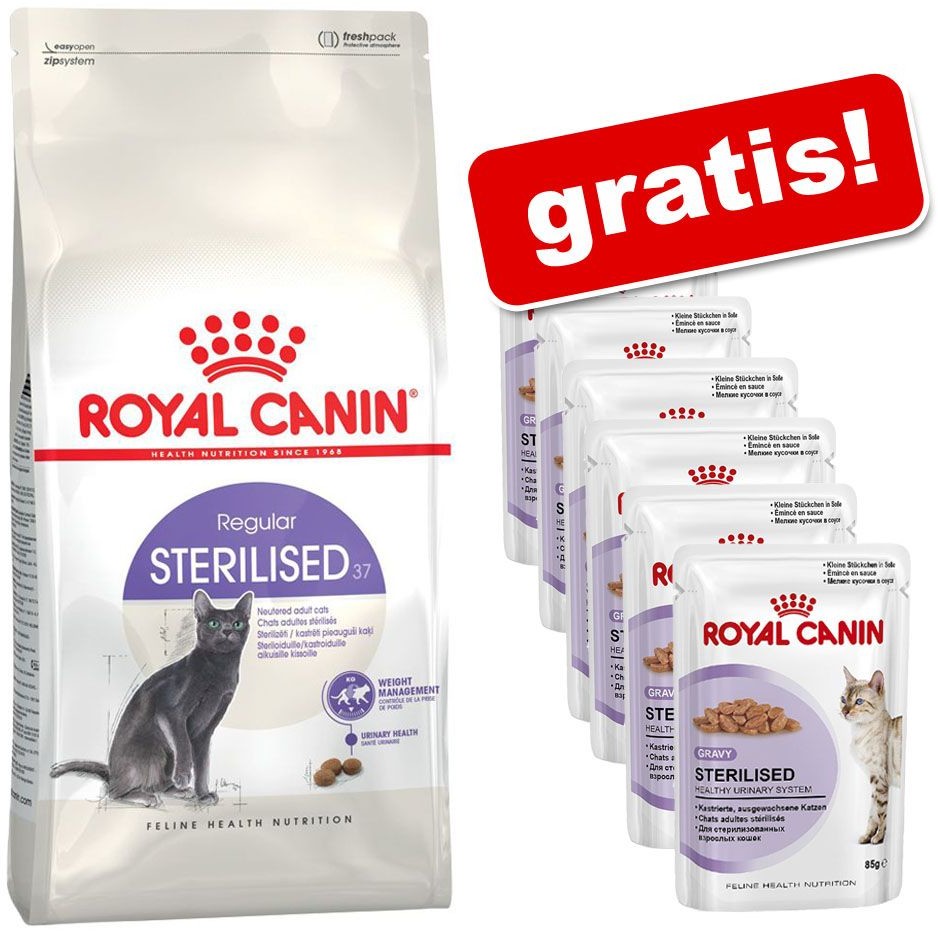 Royal Canin Kitten, 2 kg + Kitten Instinctive w sosie