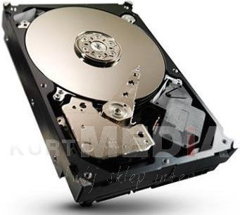 Seagate Dysk twardy NAS HDD, 3.5, 4TB, SATA/600, 64MB cache (ST4000VN0001)