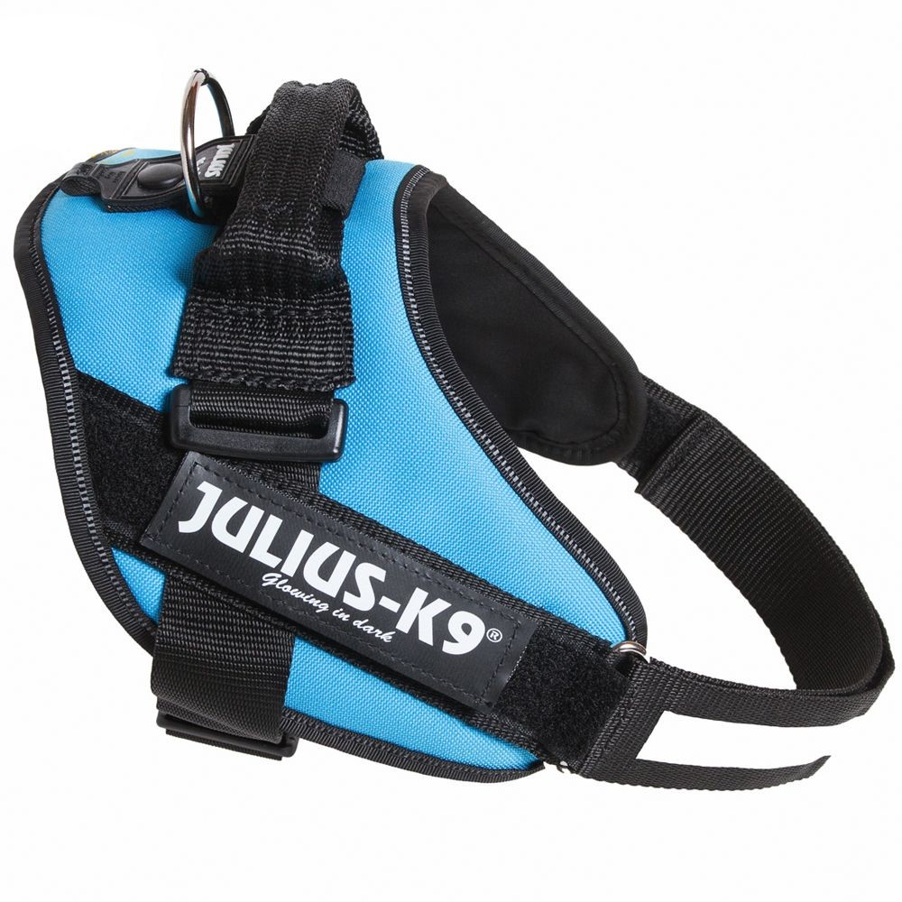 Julius-K9 Power Aquamarine - Rozm. 1