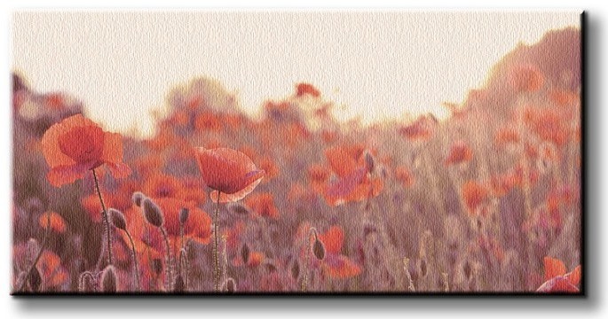 Pyramid Posters Field of Poppies - Obraz na płótnie WDC44216