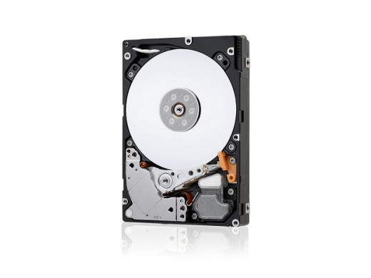 HGST 2.5