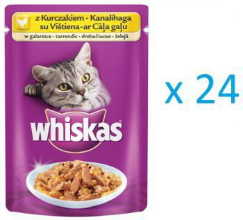 Whiskas Saszetka kurczak w galaretce 100g x24