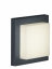 Trio Kinkiet/plafon HONDO antracyt (228960142)