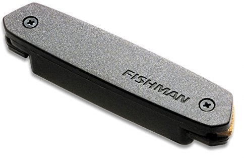 FISHMAN fishman Pro-Neo-D01 Neo-D Single Coil Pickup PRO-NEO-D01