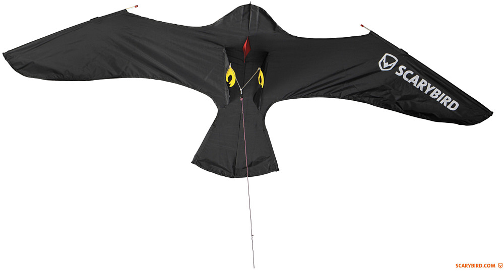 Scarybird Odstraszacz na ptaki SCARYBIRD. Straszak na ptaki - latawiec. 6m