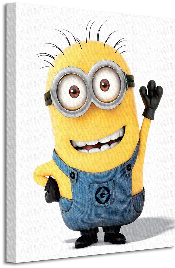 Pyramid Posters Despicable Me (Minion Wave) - Obraz na płótnie WDC94423