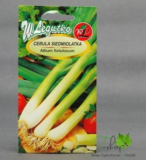 Legutko Cebula SIEDMIOLATKA 2g