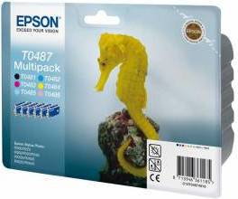 Epson T0487