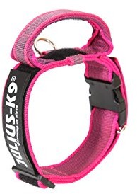 Julius-K9 200Ha-K-Pn-2015 Color & Gray Series Halsband Mit Haltegriff, Sicherheitsverschluss Und Logo, Verstellbar, Rosa/Grau