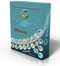 Stellar Information Systems Stellar Windows Data Recovery Professional