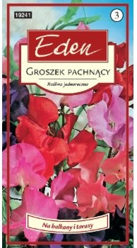 Eden GROSZEK PACHNĄCY 92497999