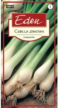 Eden CEBULA ZIMOWA SIEDMIOLATKA 70591573