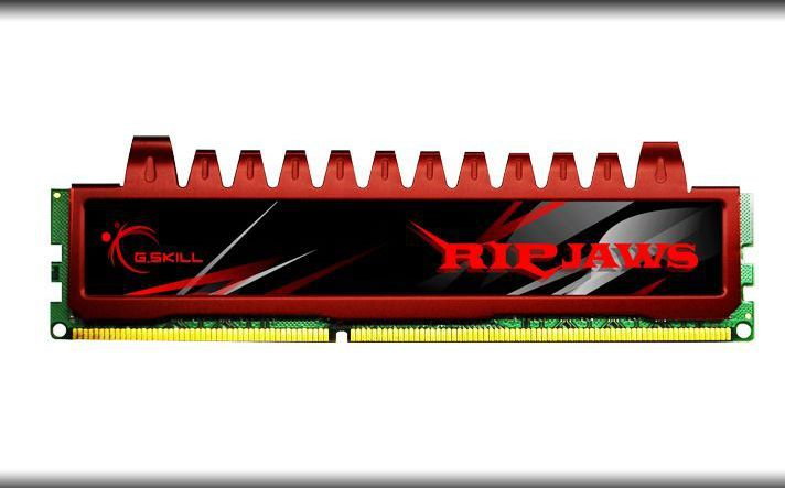 G.Skill 4GB F3-8500CL7S-4GBRL
