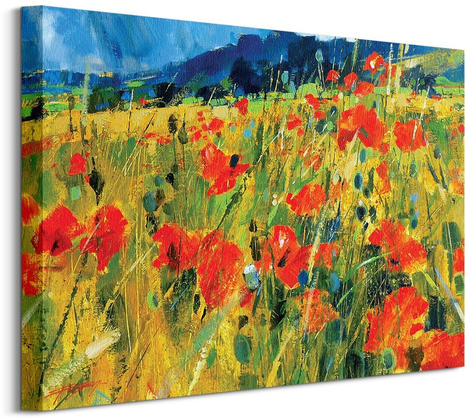 Pyramid Posters South Downs Poppies - Obraz na płótnie WDC94476