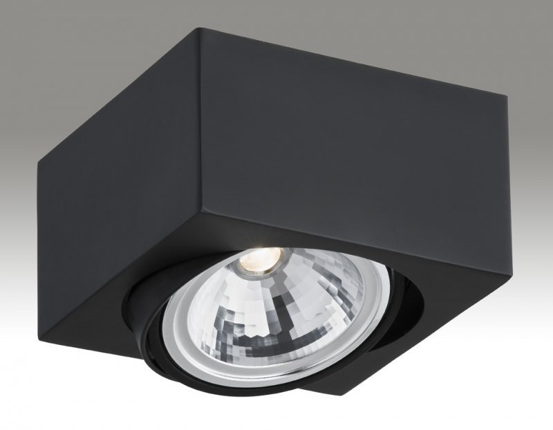 Argon Oprawa Sufitowa RODOS 3071 -