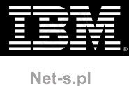 IBM Express 300GB 2 5in SFF HS 15K 6Gbps SAS HDD 81Y9935