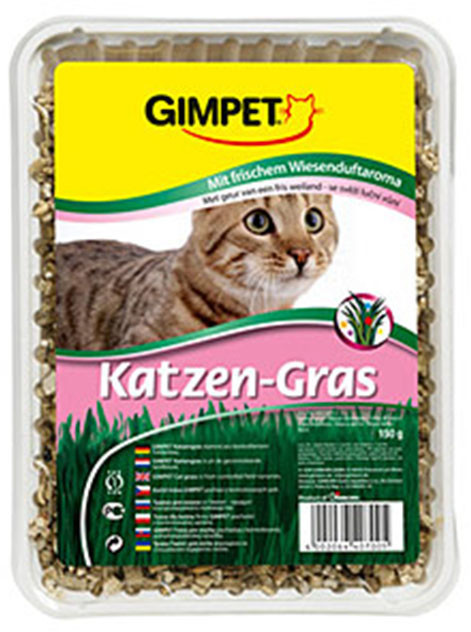 Gimpet Katzen Gras trawa dla kota pojemnik) 150g