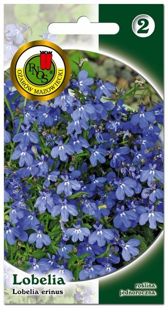 Lobelia Nasiona niebieska