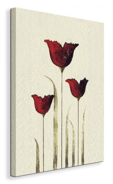 Pyramid Posters Tulips III - Obraz na płótnie WDC42441