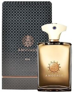 Amouage Dia Pour Homme Woda perfumowana 100ml