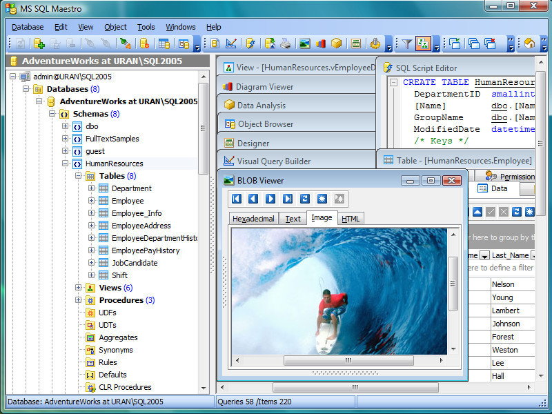 SQL Maestro Group ASA Maestro Single Non-commercial License