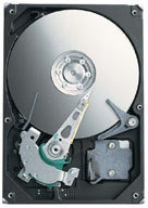 Seagate ST3300620AS