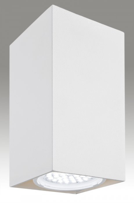 Argon Oprawa Sufitowa TYBER 3 /3091/ -