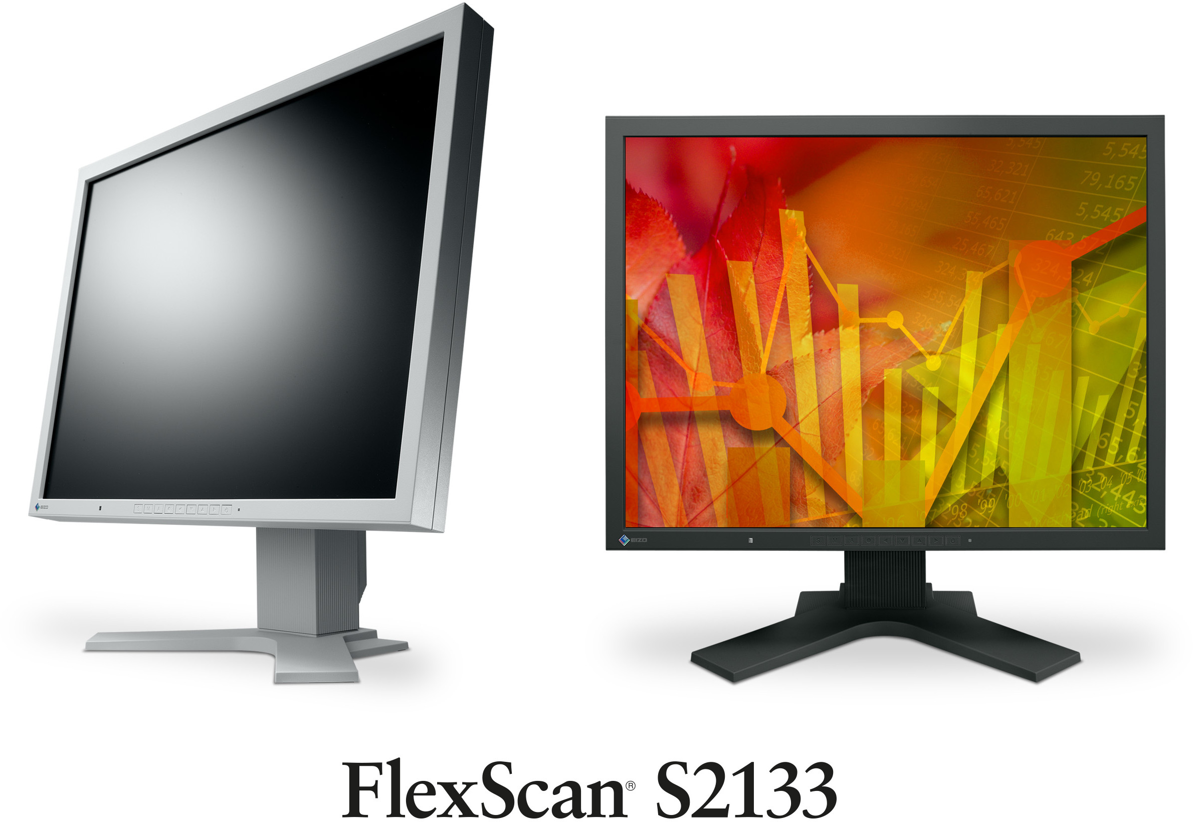 Eizo S2133-GY 21,3