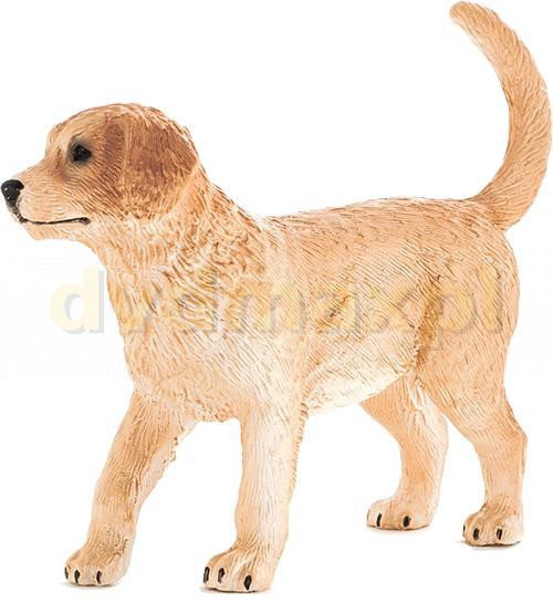 Animal Planet Szczenię rasy Golden Retriver
