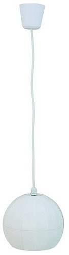 Omnitronic 80710435 WP-2H koc głośnik WP-2H Ceiling speaker