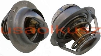 Termostat Buick Skylark