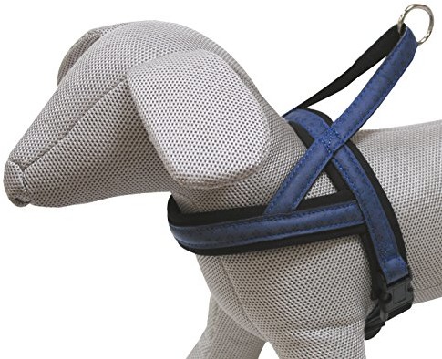 Croci C5080601 Kunstleder Geschirr Mylord Swedish, 53-66 X 40 Mm, Blau