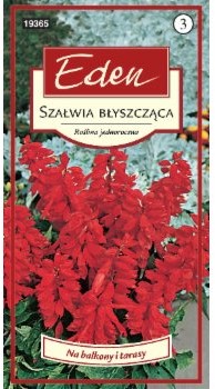 Eden SZAŁWIA BŁYSZCZĄCA CZARDASZ 92606656