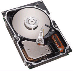 Seagate ST373307LW