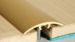 Effector S.A. A66 Listwa anodowana szybkiego montażu z uszczelką silikonową 0,93 (3FA6-857B0_20121013073022)