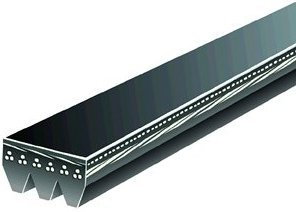 DAYCO Pasek wielorowkowy 5030240
