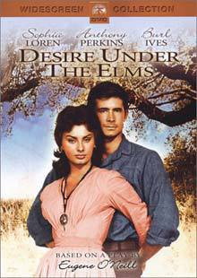 Pożądanie w cieniu wiązów (Desire Under the Elms) [DVD]