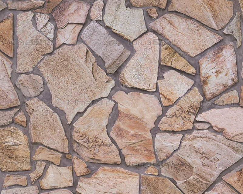 A.S. Creation Tapeta ścienna Wood and Stone 927316