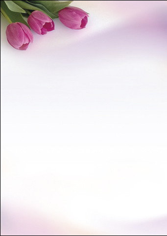 Arkusze barwne - Fanfan