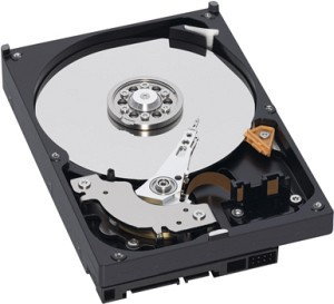 Western Digital Caviar WD1000FYPS