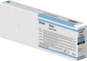 Epson C13T804500
