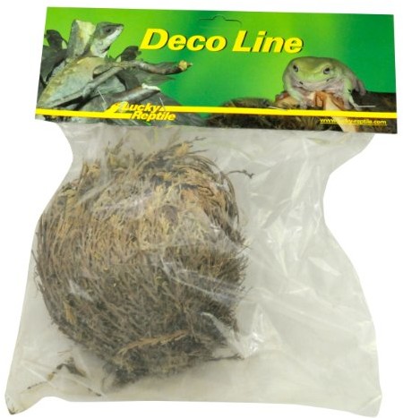 Lucky Reptile Dl-Rj Rose Von Jericho