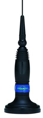 President Antena Michigan