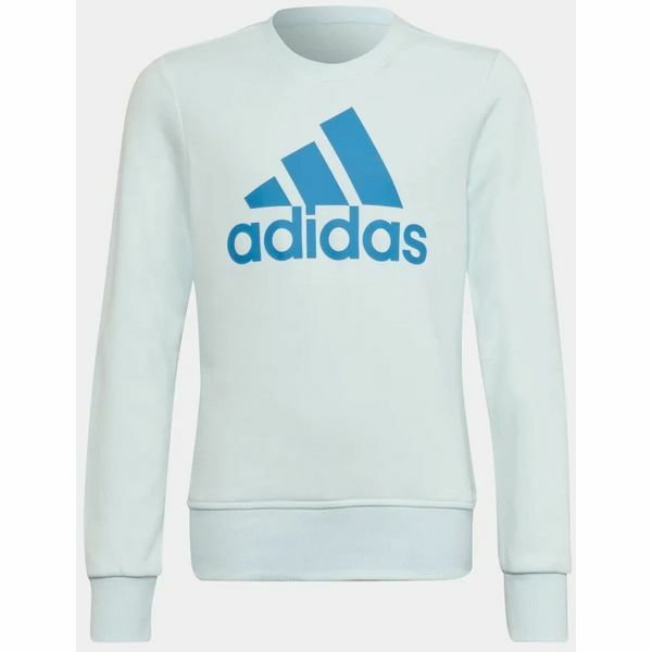 Bluza juniorska Essentials Adidas