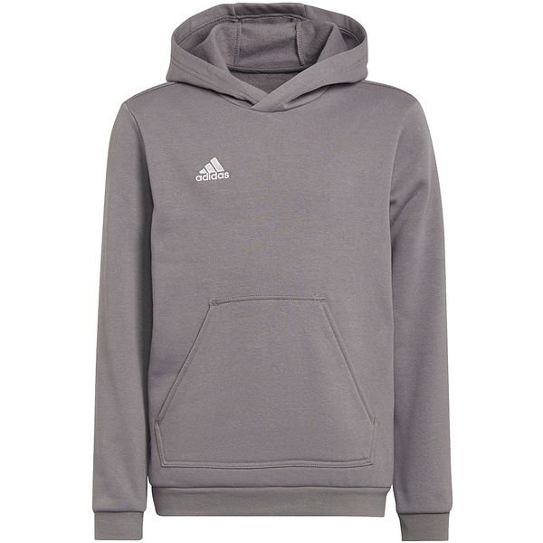 Bluza juniorska Entrada 22 Hoody Adidas